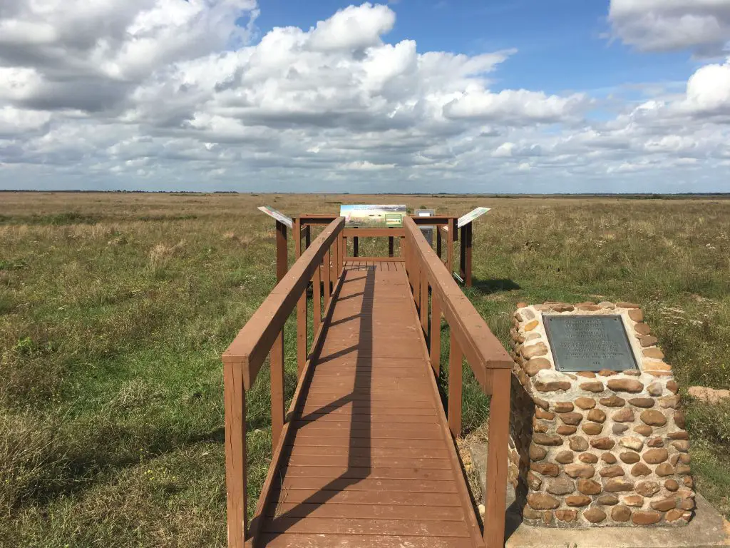 Birding Attwater Viewing Platform