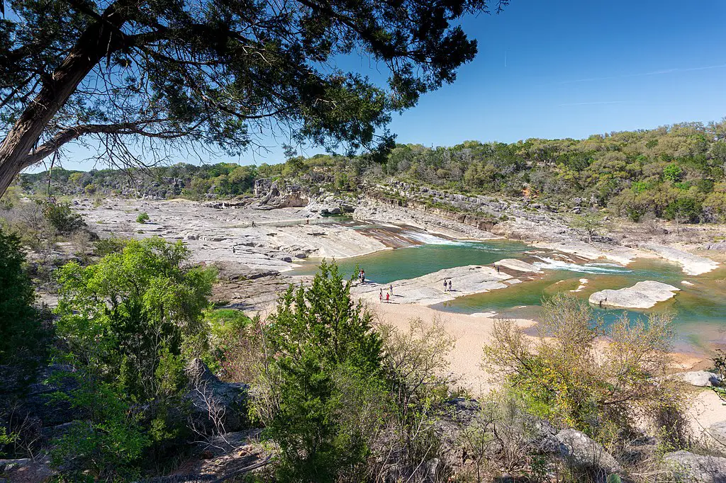 You are currently viewing The Best Texas State Parks for Birding