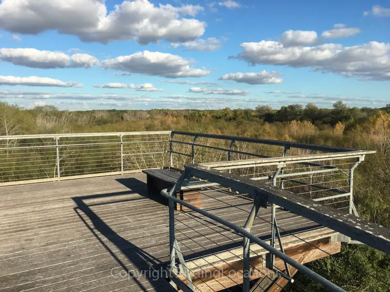 Bentsen Rio Grande Hawkwatch Tower