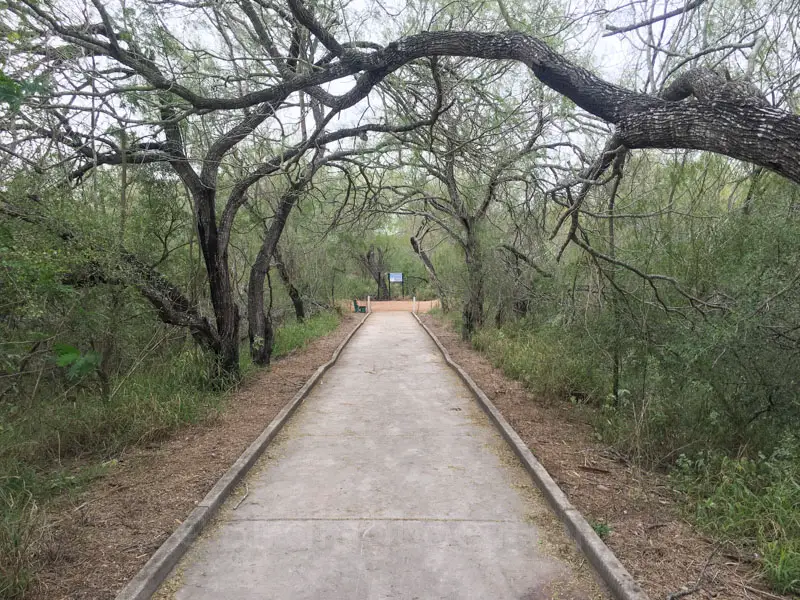 birding tours south texas