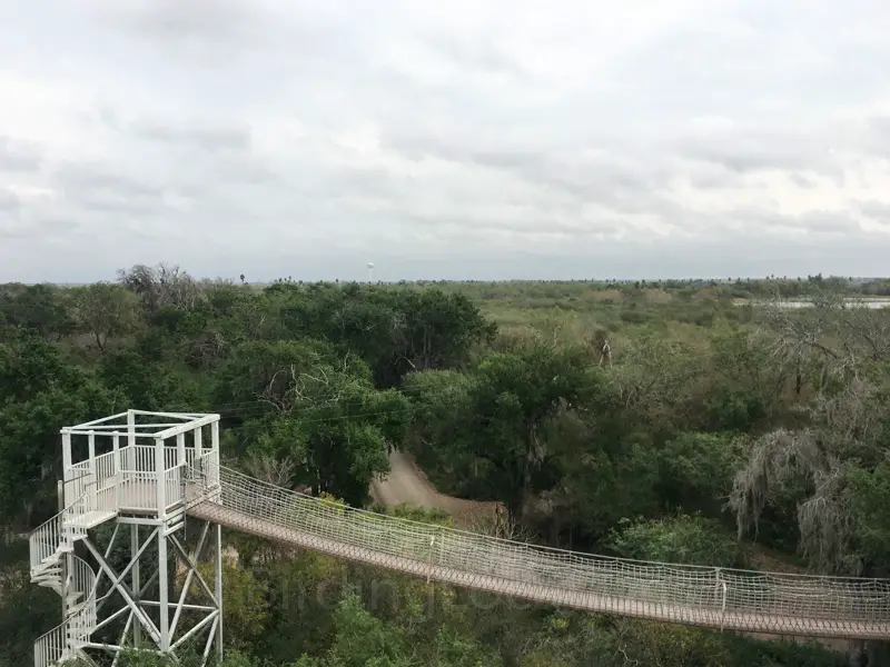 birding tours south texas