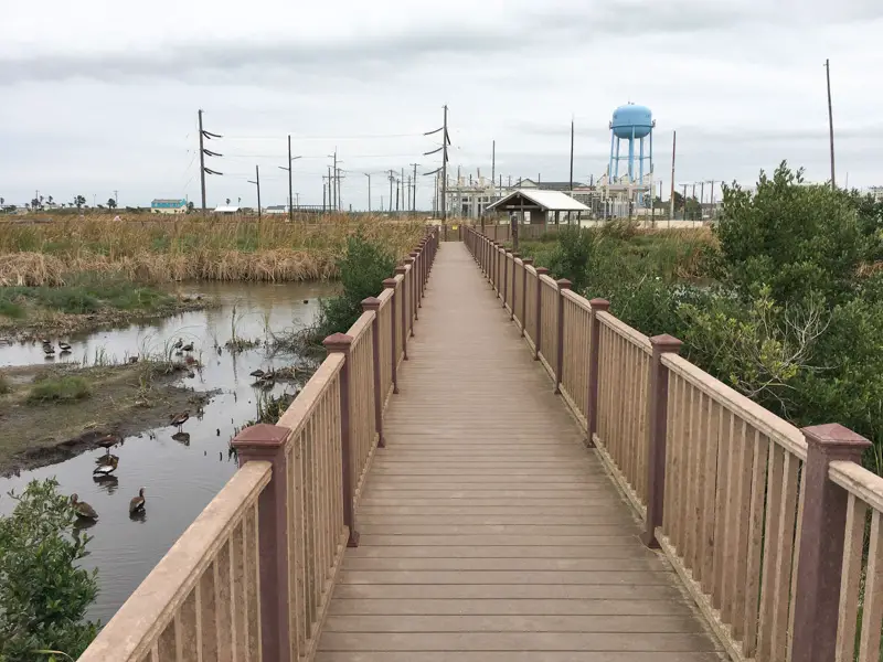 South Padre Island Birding Center Boardwalk