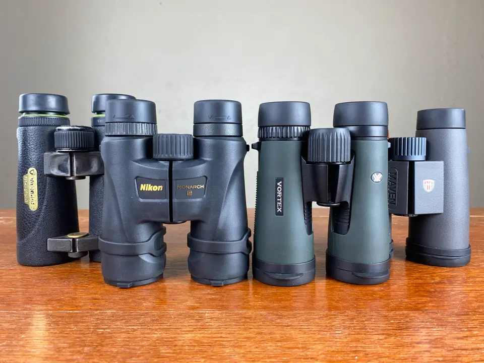 You are currently viewing Best Birding Binoculars under $300: Tested & Reviewed (2021)