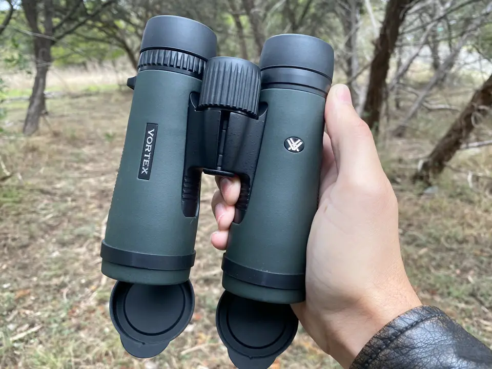 Best Budget Bird Watching Binoculars