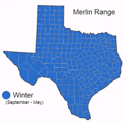 Merlin Range Map in Texas