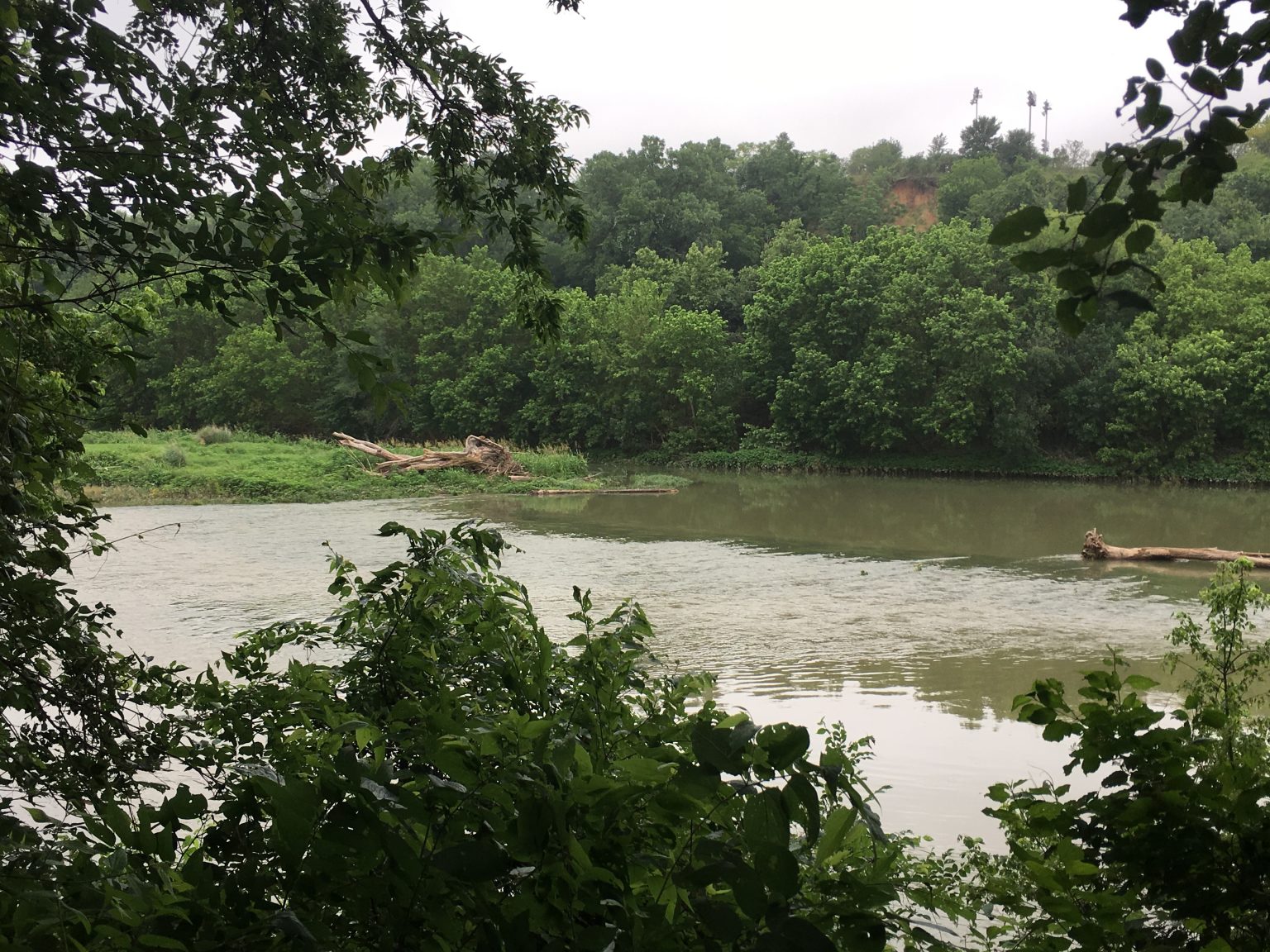 Hornsby Bend Bird Observatory Birding Locations