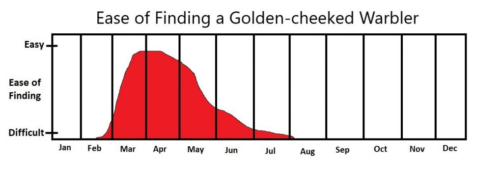 When to See a Golden-cheeked Warbler in Austin Texas