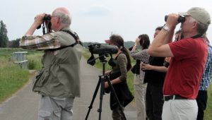 Read more about the article Texas Birding Festivals 2023 (Dates, Costs, Locations)