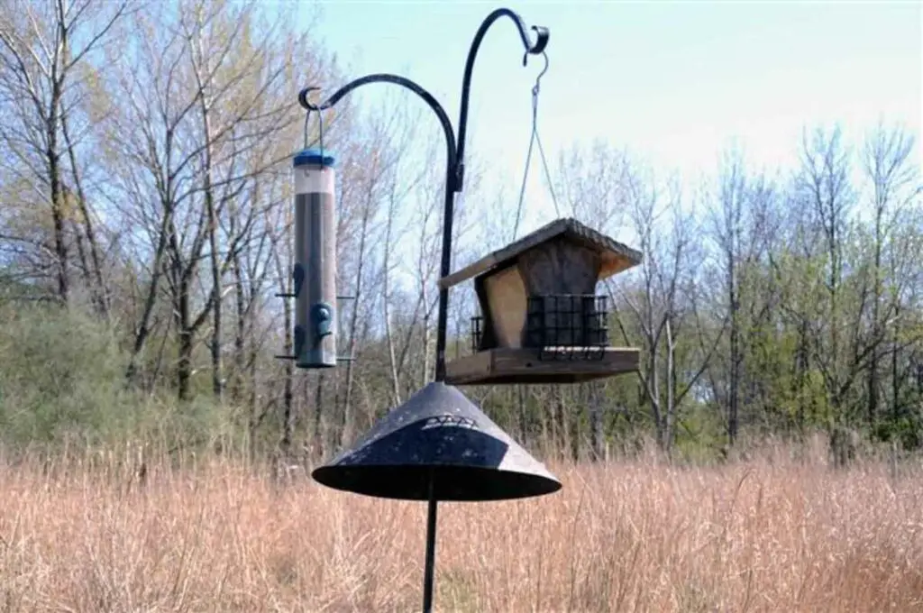 Squirrel Baffle to Save Bird Seed